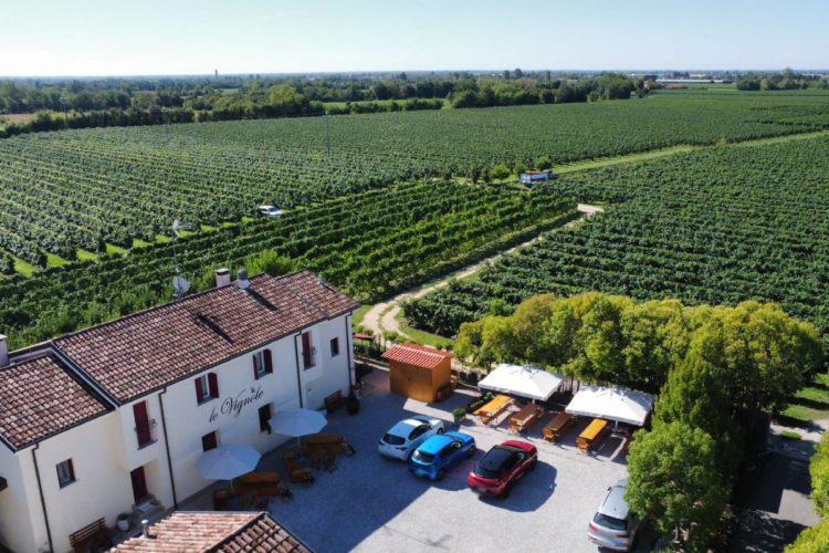 VISTA AGRITURISMO E VIGNA