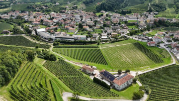 azienda-agricola-Tomasi