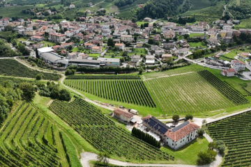 azienda-agricola-Tomasi
