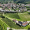 azienda-agricola-Tomasi