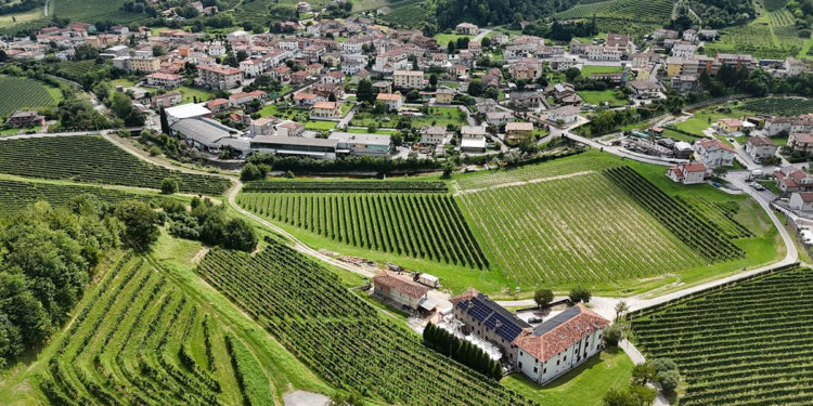 azienda-agricola-Tomasi