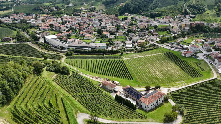 azienda-agricola-Tomasi